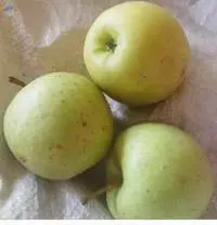 Green Apple
