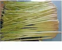 Lemon Grass