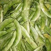 Lima Beans