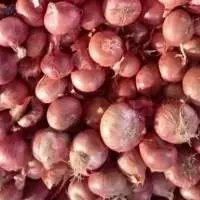 Red Onion