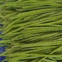 Fresh Drumsticks