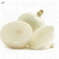 White Onion