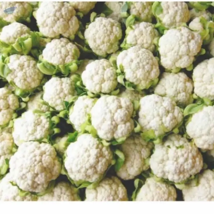 Fresh Cauliflower