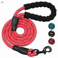 Dog Leashes/ Leads