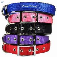 Dog Collars