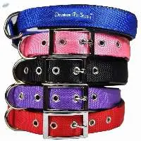 Dog Collars