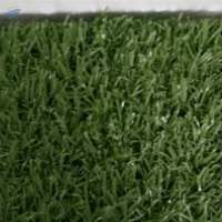 Indoor Outdoor Grass Carpet
