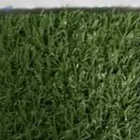 Indoor Outdoor Grass Carpet