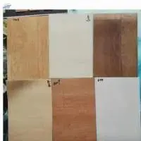 Indoor PVC Floor Covering