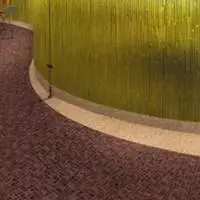 Colorful Nylon Polyester Carpet