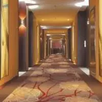 Elegant Soft Nylon Polyester Carpet