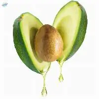 Avocado Oil (Extra Virgin and Refined)