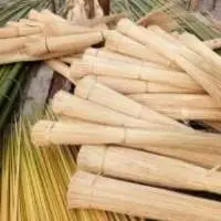 Nypah Or Nipah Broom Stick