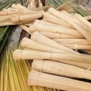Nypah Or Nipah Broom Stick