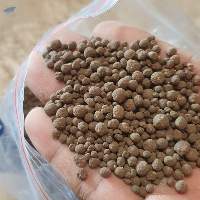 Guano Seabird Organic Fertilizer