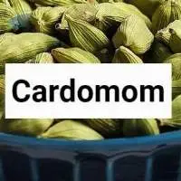 Cardamom