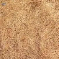 Coir Fibres