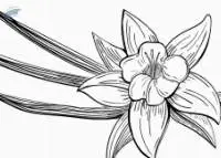 Chamomile Oil