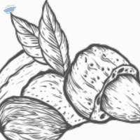 Almond Oil