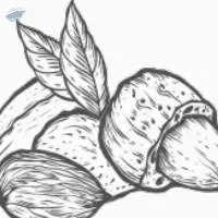 Almond Oil