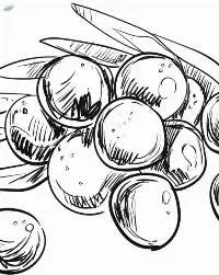 Grape Seed Oil