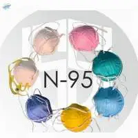 N95 Face Mask
