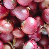 Red Onion