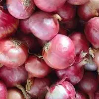 Red Onion