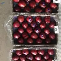 Fresh Apple