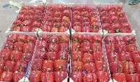 Red Sweet Pepper