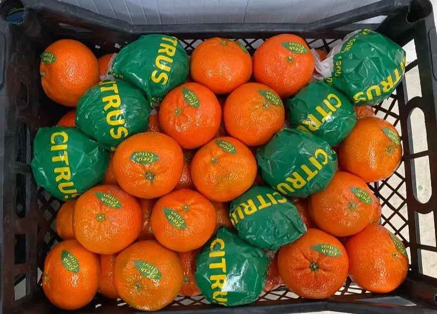 Tangerine