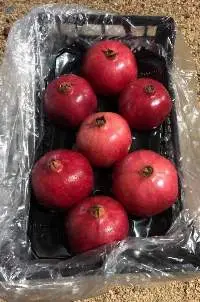 Pomegranate (Hejaz)
