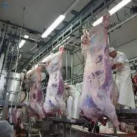 First Quality Veal And Beef Meat