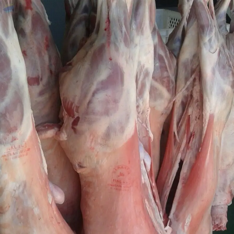 Meat Lamb