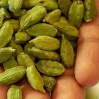 Indian Green Cardamom
