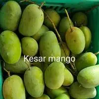 Kesar Mango