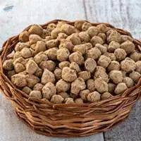 Soya Proteins