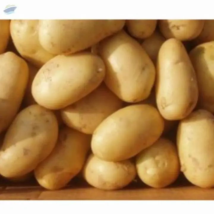 Potato