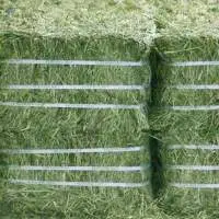 High Grade Alfalfa Hay