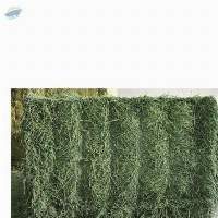 Best Grade Timothy Hay 