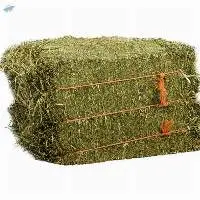 Gmo Free Alfalfa  Hay For Sale