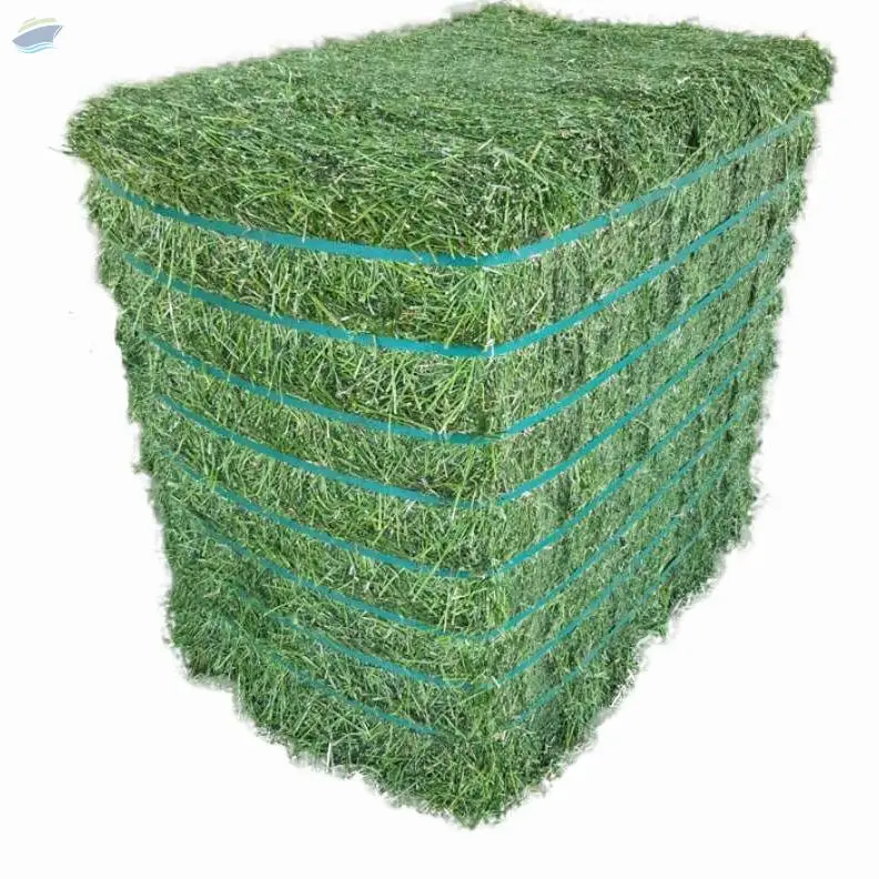 2021 Alfalfa Hay