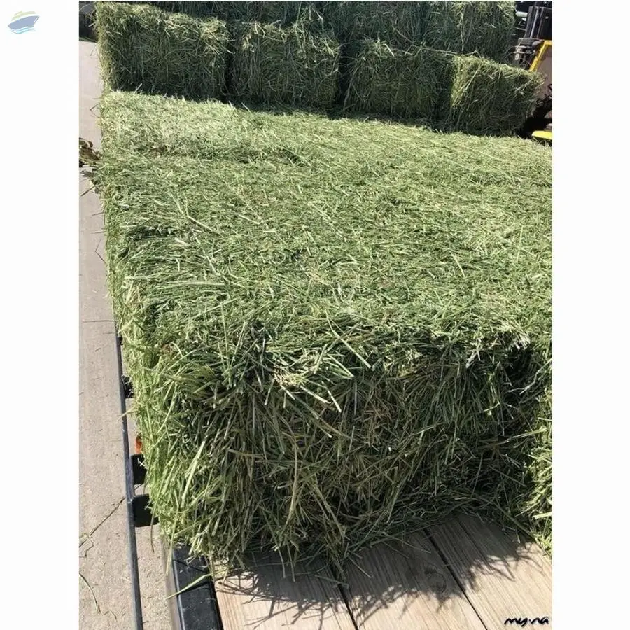 Best Grade Timothy Hay For Animals
