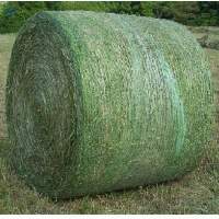 Animal Feeds For Sale