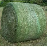 Animal Feeds For Sale