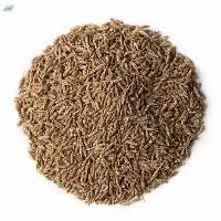 Cumin Seeds Jeera Indian Spices