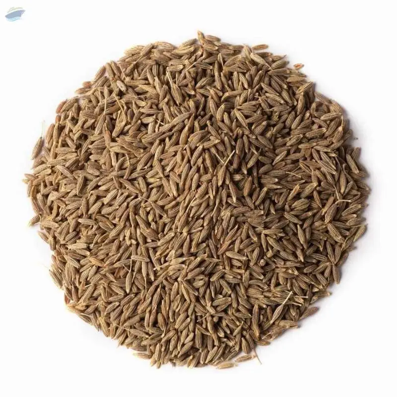 Cumin Seeds Jeera Indian Spices