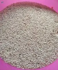 Sesame Seeds