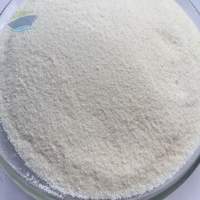 Non Dairy Creamer (Foaming Formula)