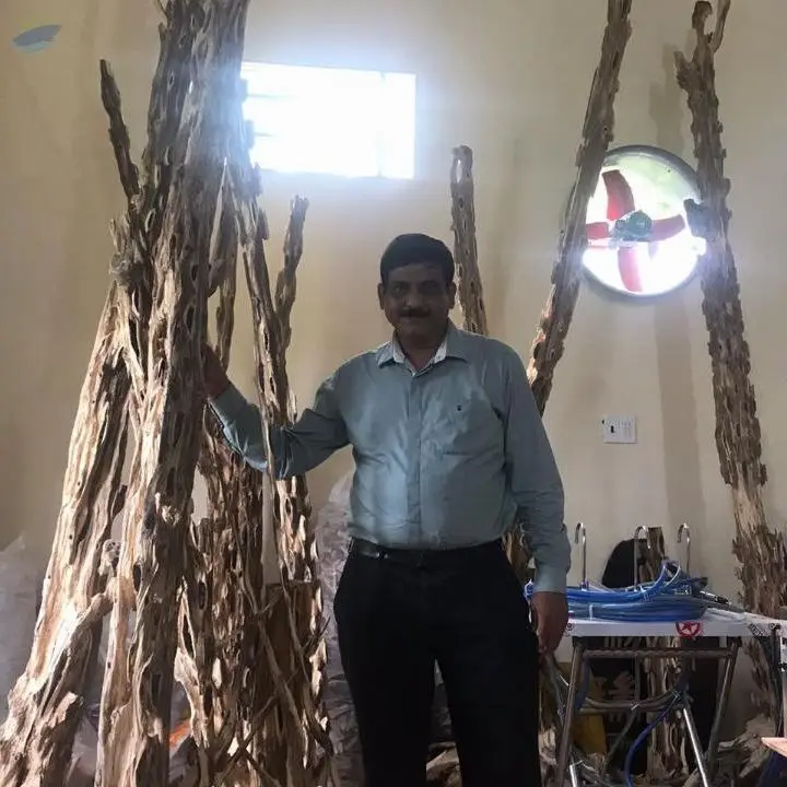 Agarwood (Oud) Sculptures